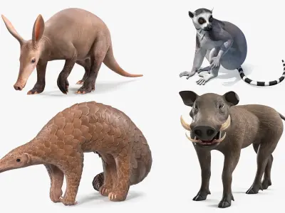  African Mammals Rigged for Cinema 4D Collection 