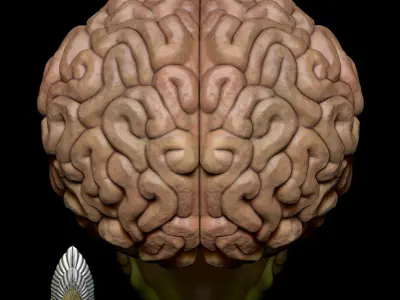 Mars Attacks Alien Mask 3D DIGITAL DOWNLOAD 3D print model