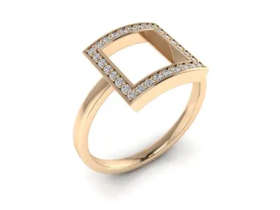 Ring 101 3D print model