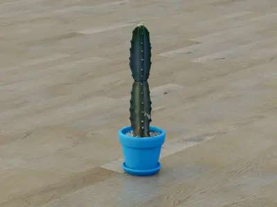 Potted cactus plant Low-poly 3D model