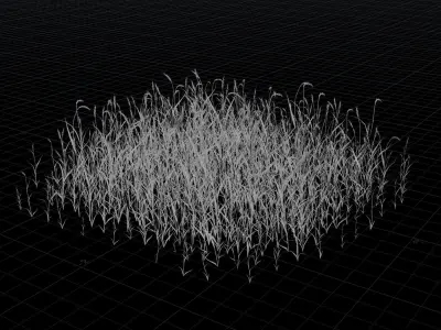 Wheat Field Package Loop Animated 3D model