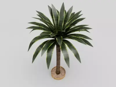 Palm Tree Low-poly 3D model