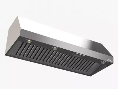 Wolf Wall Mount Canopy Range Hood PW602418 3D model