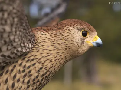  Falcon Bird Attack Pose Brown 