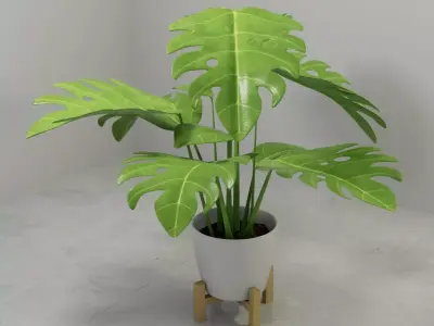 Monstera plant in modern Pot 3D model 3D model