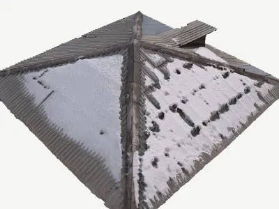 Old Roof Scan 3d model Low-poly 3D model