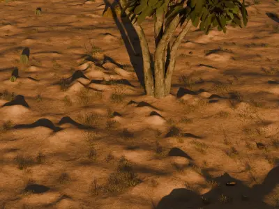 Tree in desert 3D model