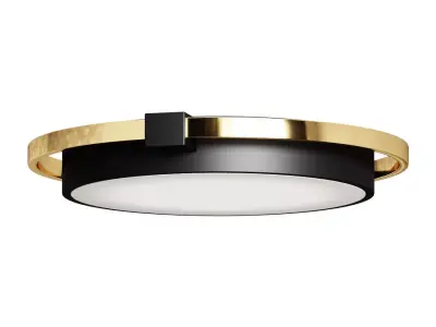 Ceiling lamp Loft It Mike 10170 3D model