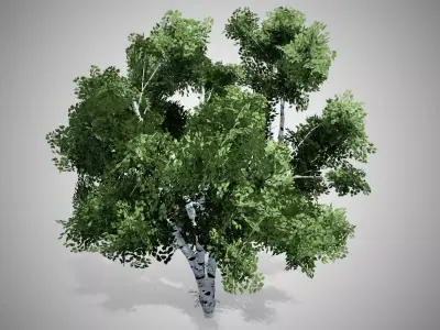 White Birch Tree Low-poly 3D model