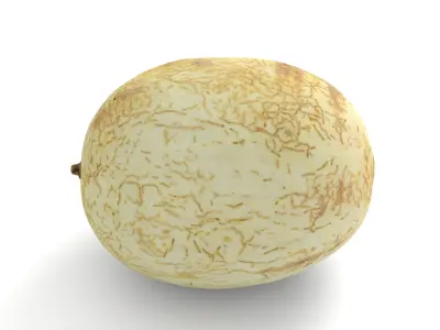 Honeydew Sunlady Melon - Photorealistic Scan Low-poly 3D model