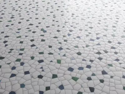 Gaudi White Mosaic Floor with Inserts 08 Texture
