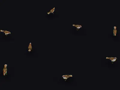 Realistic Sparrow Flock Animated Bird Swarm Shoal Birds Low-poly 3D model