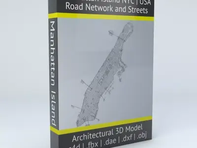Manhattan Island in New York City Road Network and Streets 3D model