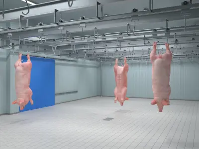 Pork Carcass Cold Storage Room with Hook Rail 