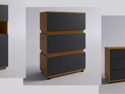 Wood furniture with matt doors concept 3D Model Pack