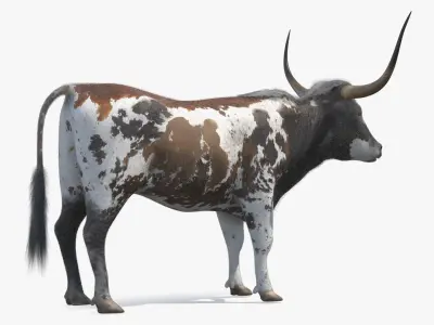  Farm Animals Big Collection 5 