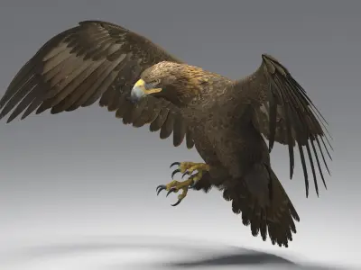  Golden Eagle Rigged 