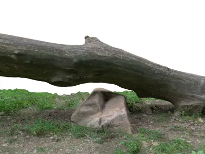 Tree trunk bench long Low-poly 3D model