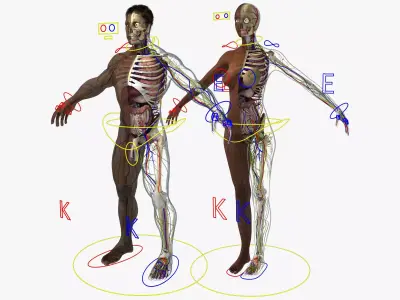 Ultimate Rigged African American Combo 3D model
