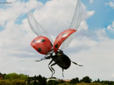  Flying Ladybug Animated Rigged for Maya 