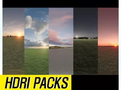 Realistic HDRI 30pcs 12k Field Low-poly 3D model