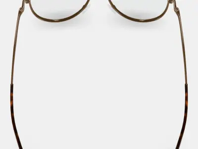 Belmar Eyeglasses in Polished Gold 3D model