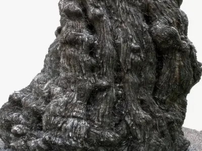 PBR Game Ready 3DModel TreeTrunk1 Maya ZBrush MarmosetToolbag Low-poly 3D model