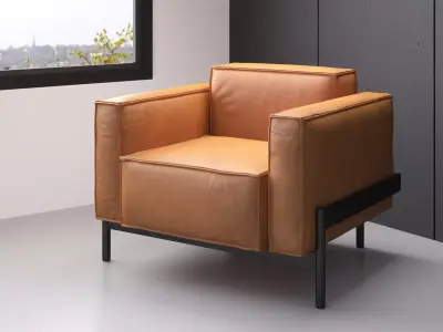 DS-21-01 leather armchair with frame 3D model