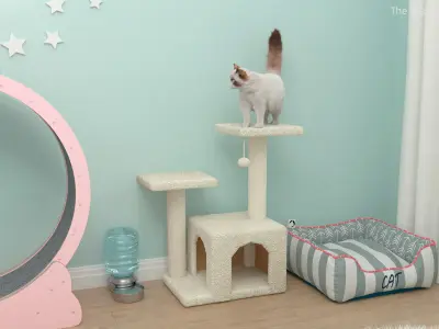  Fluffy Cat Standing on Cat Tree Tower Fur for Maya 