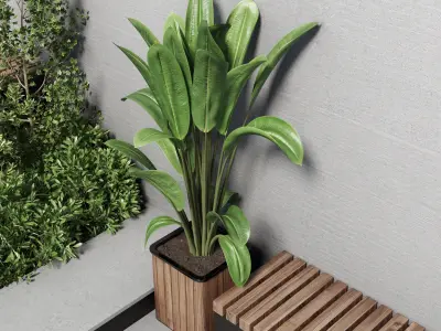 Landscape Furniture stairs with plant and Garden Low-poly 3D model