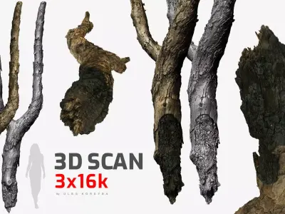 Burnt Tree Trunk 8x4k - 1x16k - 3x16k Textures Raw 3D scan Low-poly 3D model