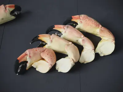 Stone Crab Claws 7 Models