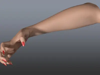  Rigged and Animated Hand (Female) 