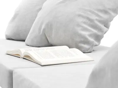 Window Seat Pillows set 01 3D model