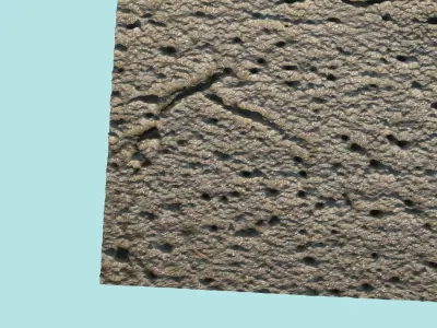 Burrows In The Sand 3D model