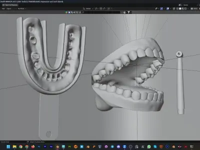 Teeth Impression Gums and Tool 3D model