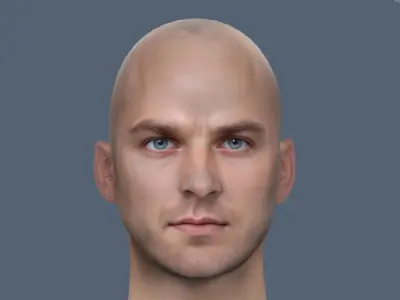 Male head Realistic Perfect Head  Low-poly 3D model