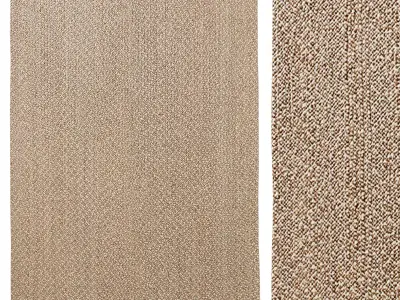  RIO JUTE RUG 3D model