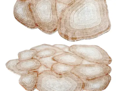 Apricot Caliedo Rug 3D model