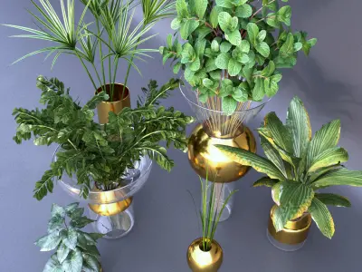 Decorative set with plants in vases 3D model