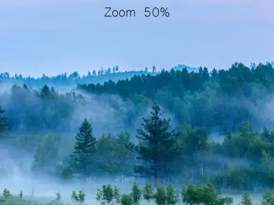 Early morning forest panorama 3D model
