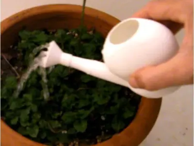 BALCONY SPRINKLER 3D print model