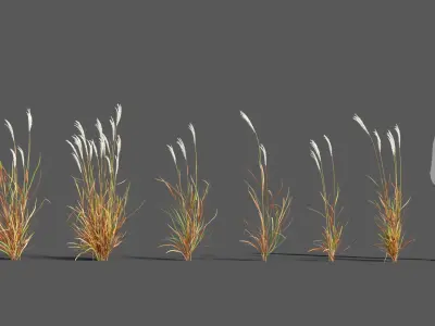  Plants Pack 3: Ornamental Grasses (+GrowFX) 