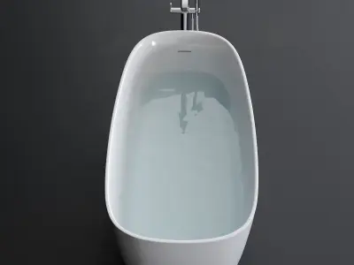 Disenia River Bathtub Low-poly 3D model