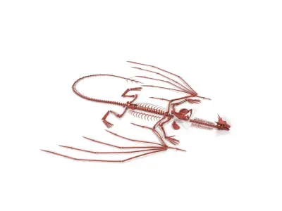  Fossilized Dragon Skeleton in Unfolded State for 3D Print 