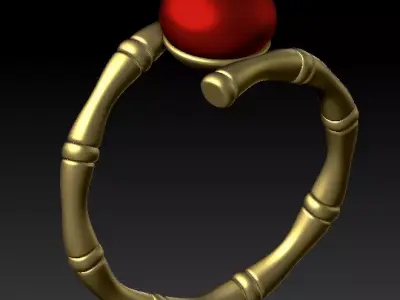 Pearl Ring 3D Model with Bamboo Shank 3D print model