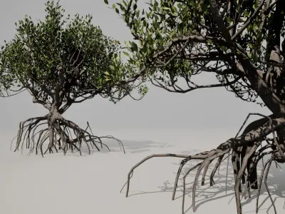 Mangrove 3D Models Low-poly Tropical Tree Low-poly 3D model