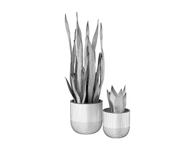 Sansevieria in Black Planter 3D model
