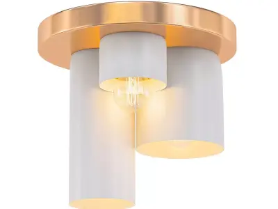 Chin ceiling 3D model