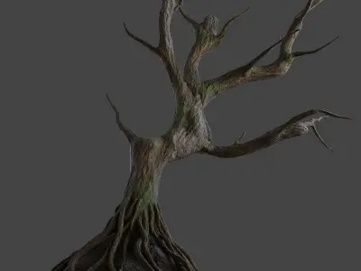  Old tree 3D model